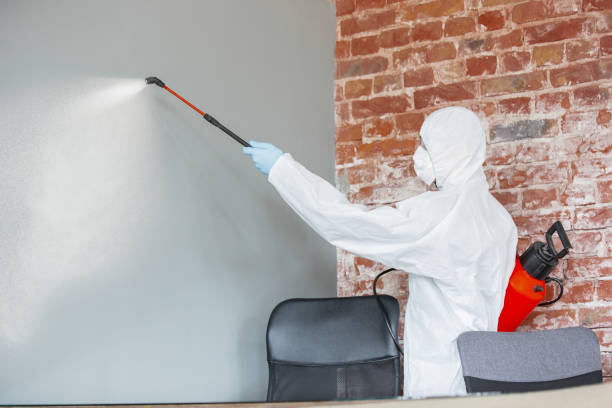 Best Mold Prevention Services  in Bethany, WV