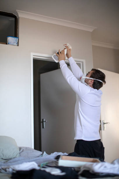 Best Emergency Mold Remediation  in Bethany, WV