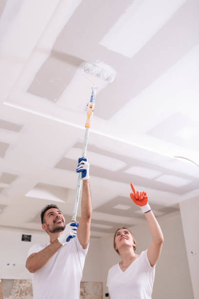 Best Mold Remediation for Healthcare Facilities  in Bethany, WV