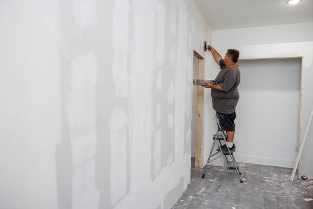 Reliable Bethany, WV Mold Removal Solutions