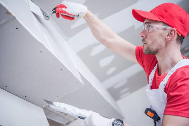 Best Asbestos and Lead Testing During Mold Inspection  in Bethany, WV